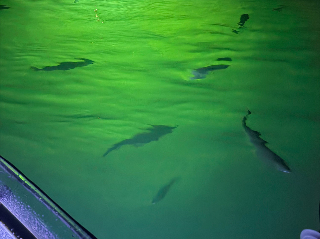 SUP Kentucky-Rogers必去景点