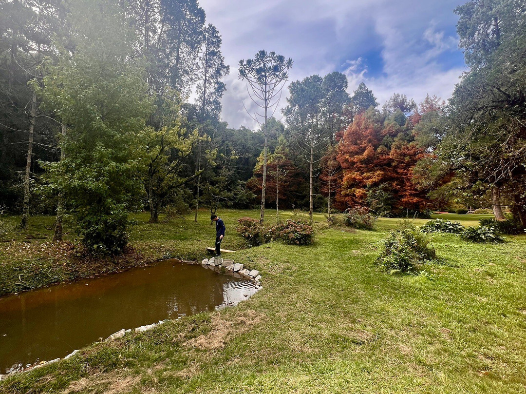 Parque Bambui-坎普斯－杜若尔当必去景点
