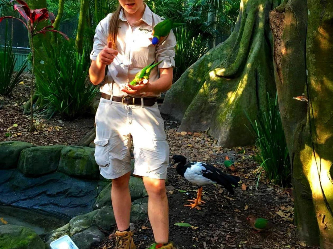 Australia Zoo-Beerwah必去景点