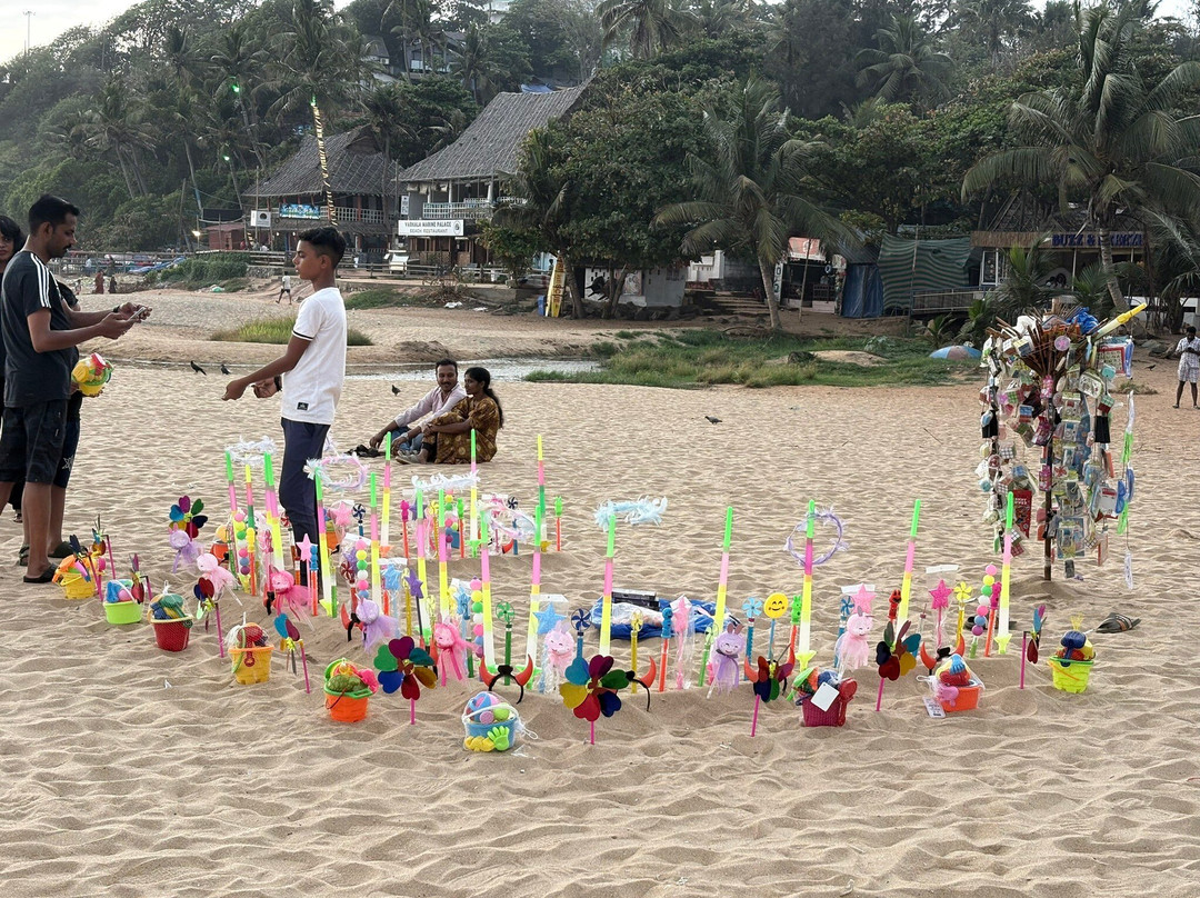 Varkala Beach-瓦卡拉必去景点