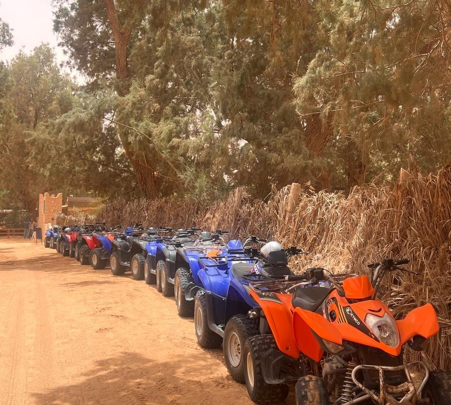 Ennakhil de tourisme Djerba-米栋必去景点