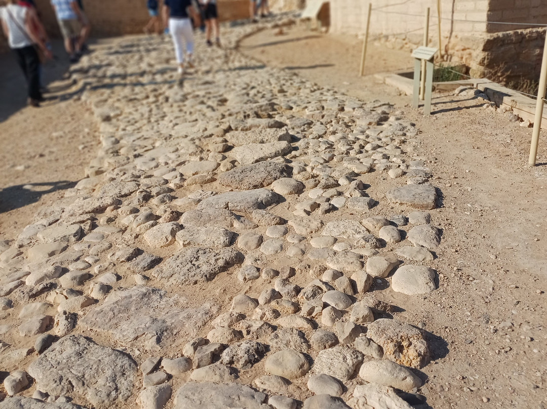 Tel Be'er Sheva National Park-贝尔谢巴必去景点