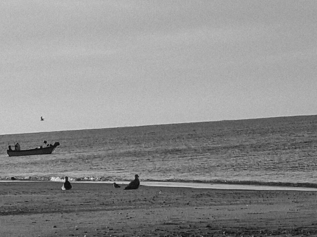 Playa de Islantilla-Islantilla必去景点