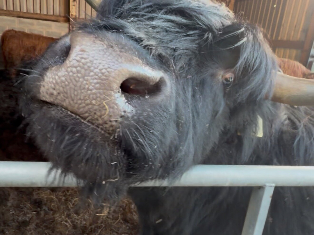 Meikle Westland Farm主图