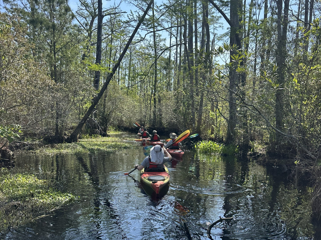 Coastal Kayak Touring Company-Duck必去景点