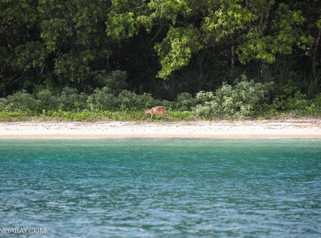 Ujung Kulon Trek-Carita必去景点