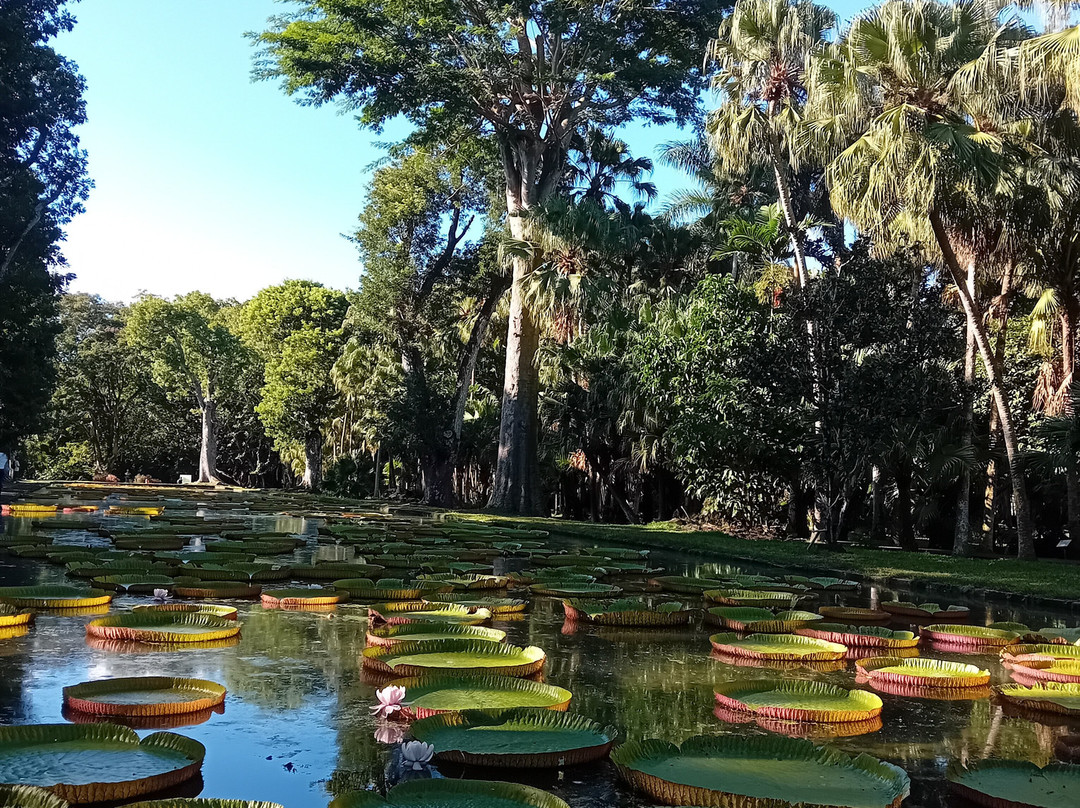 Paradisio Excursions Ile Maurice-大湾必去景点