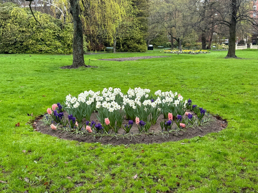 Halifax Public Gardens-哈利法克斯必去景点