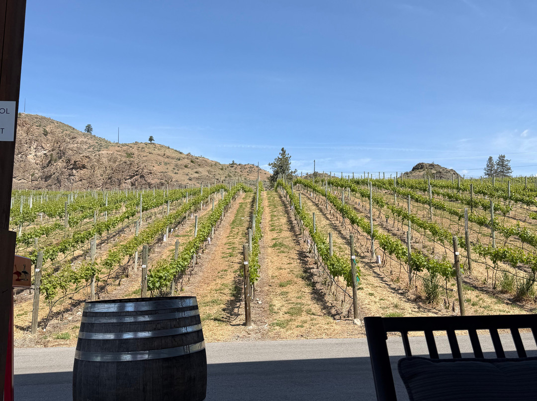 Mayhem Wines