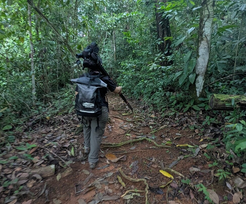Oro Verde Biological Reserve-乌维塔必去景点