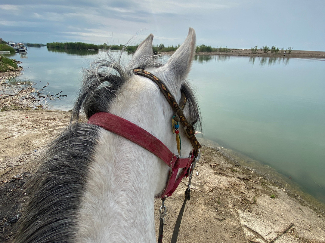Belek Safari | Horse Riding Tour