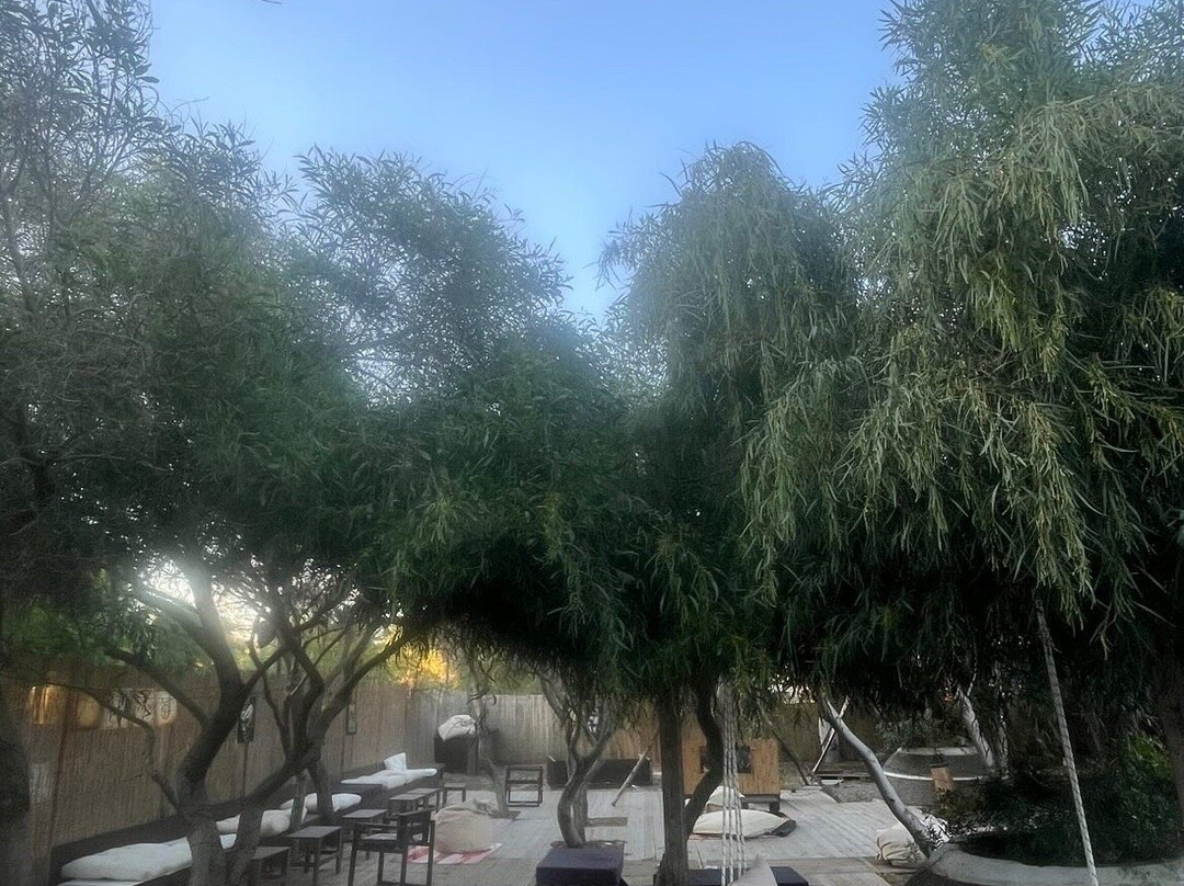 Tropicana Lido