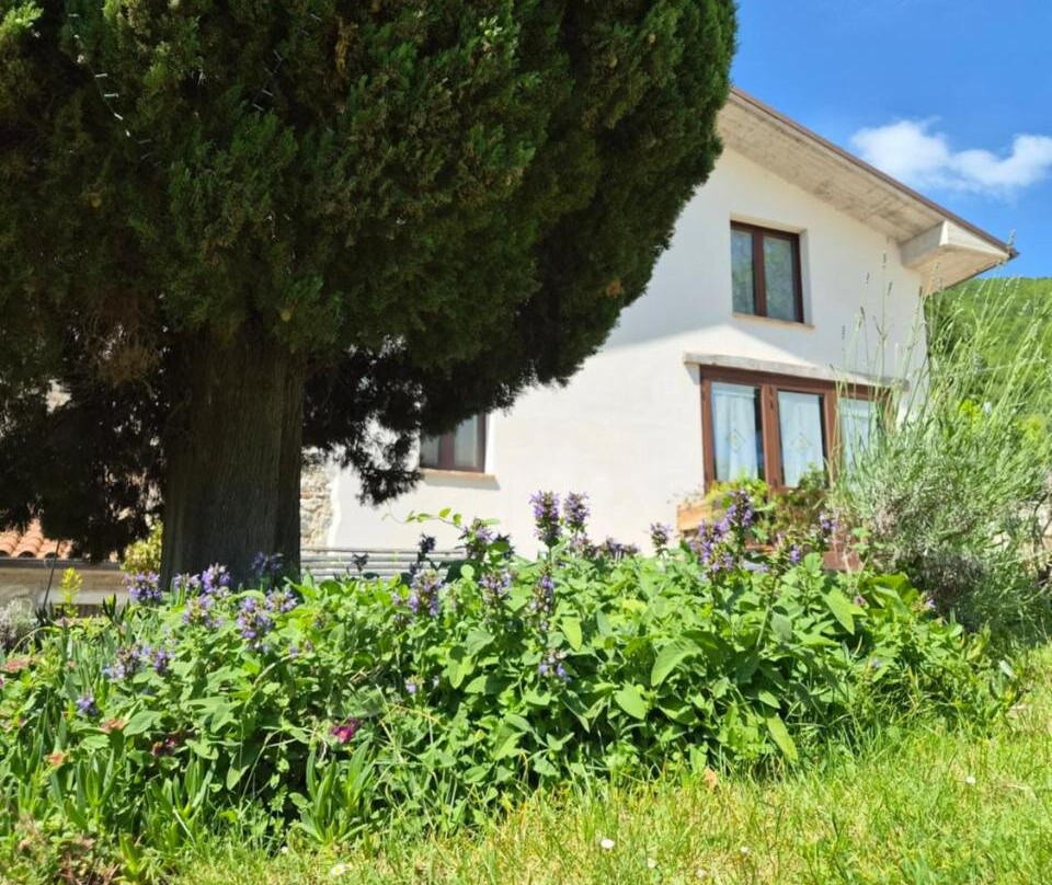 Precicchie酒店住宿-Agriturismo Vallonga