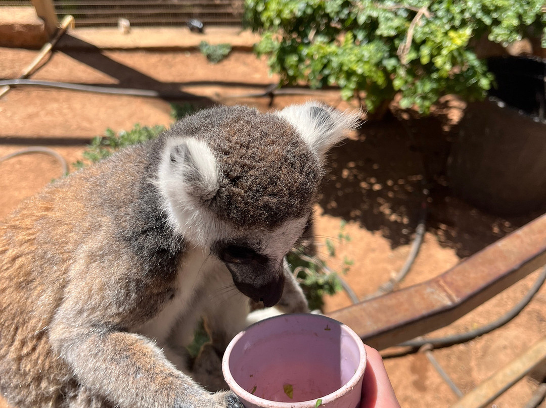 Pafos Zoo-帕福斯必去景点
