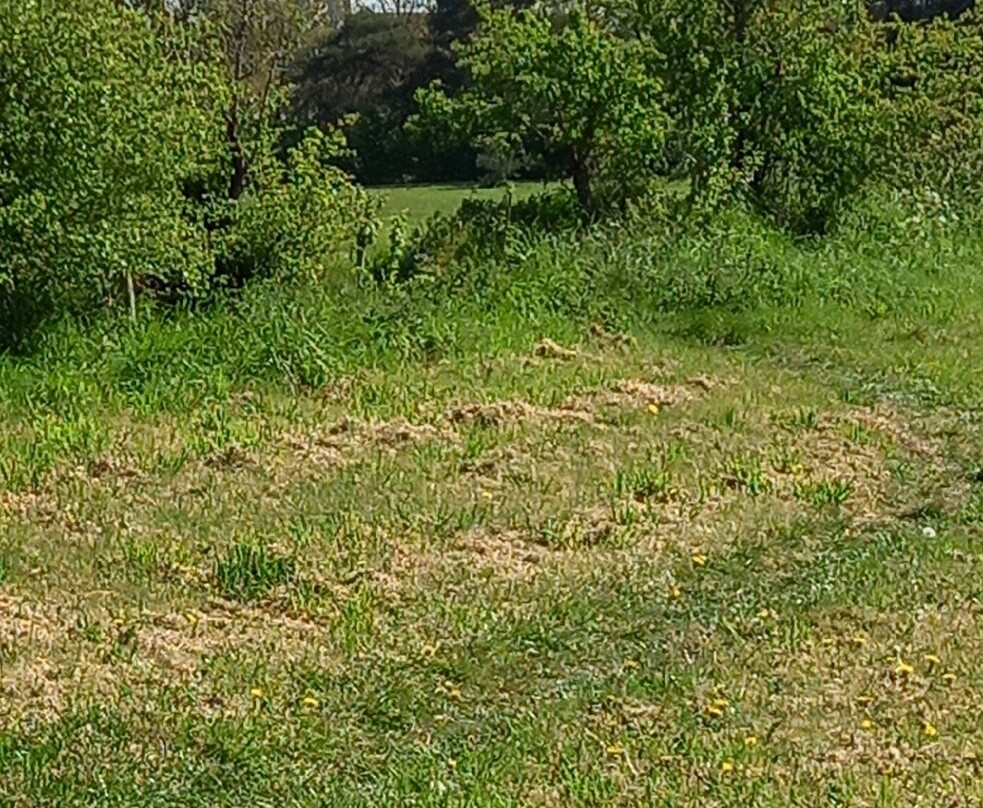 Upton Country Park-普尔必去景点