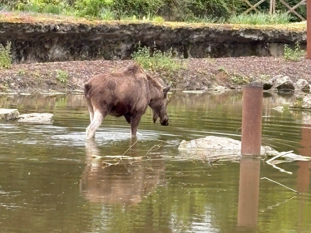Pairi Daiza Resort主图