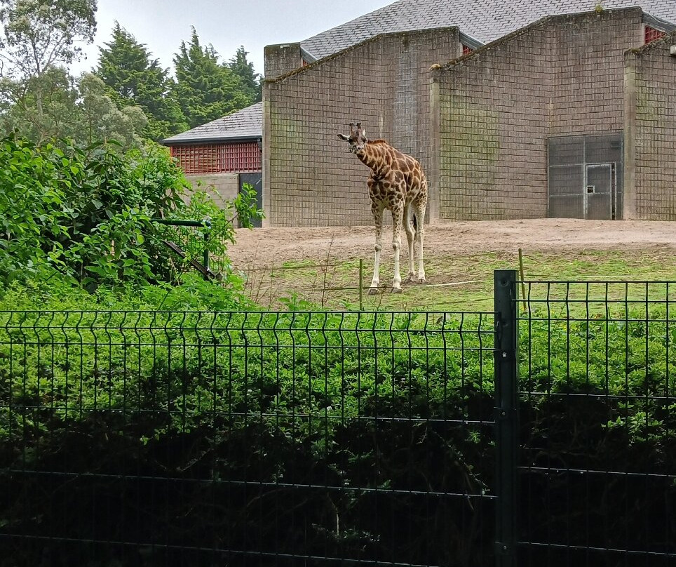 Belfast Zoo-Newtownabbey必去景点
