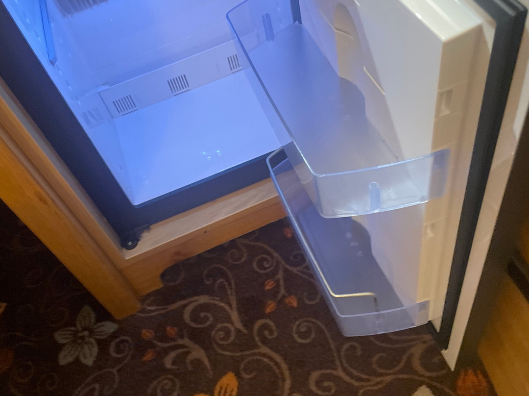 兰兹伯格霍夫酒店主图