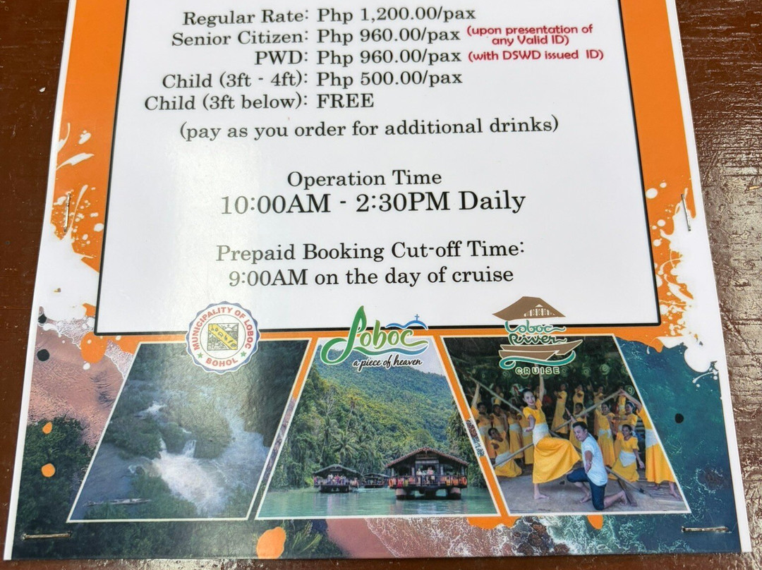 Loboc River Cruise-洛博克必去景点