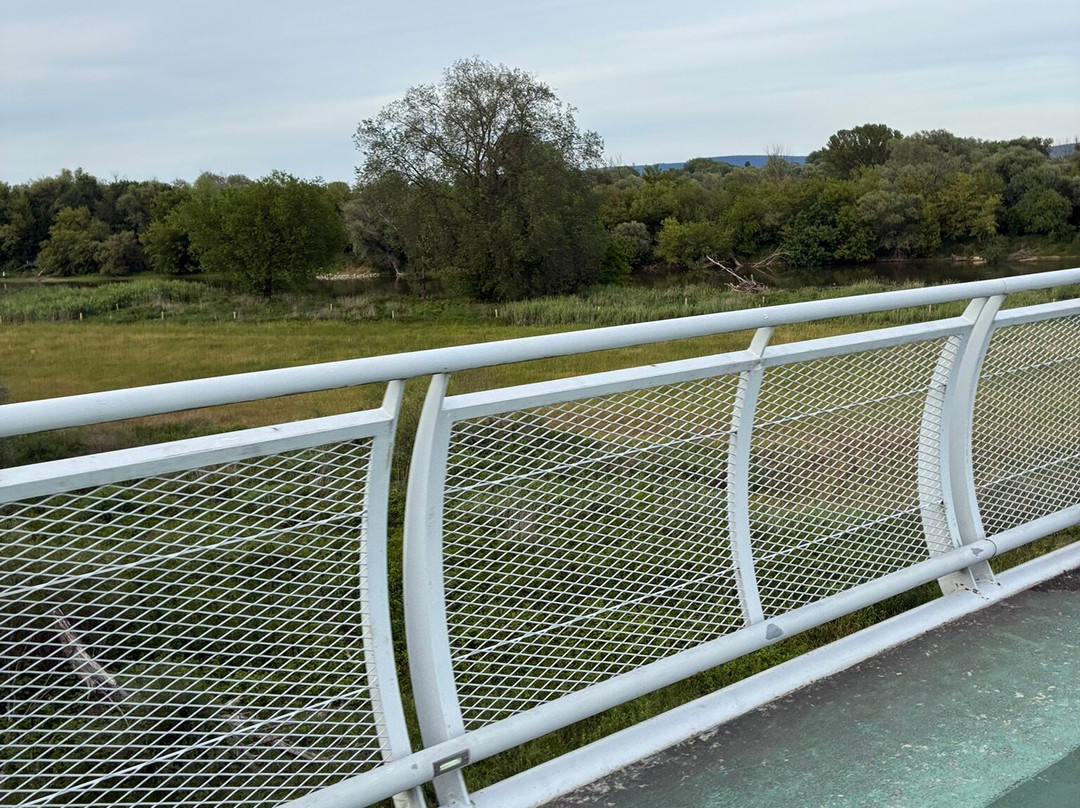 Freedom Cycling Bridge-Devinska Nova Ves必去景点