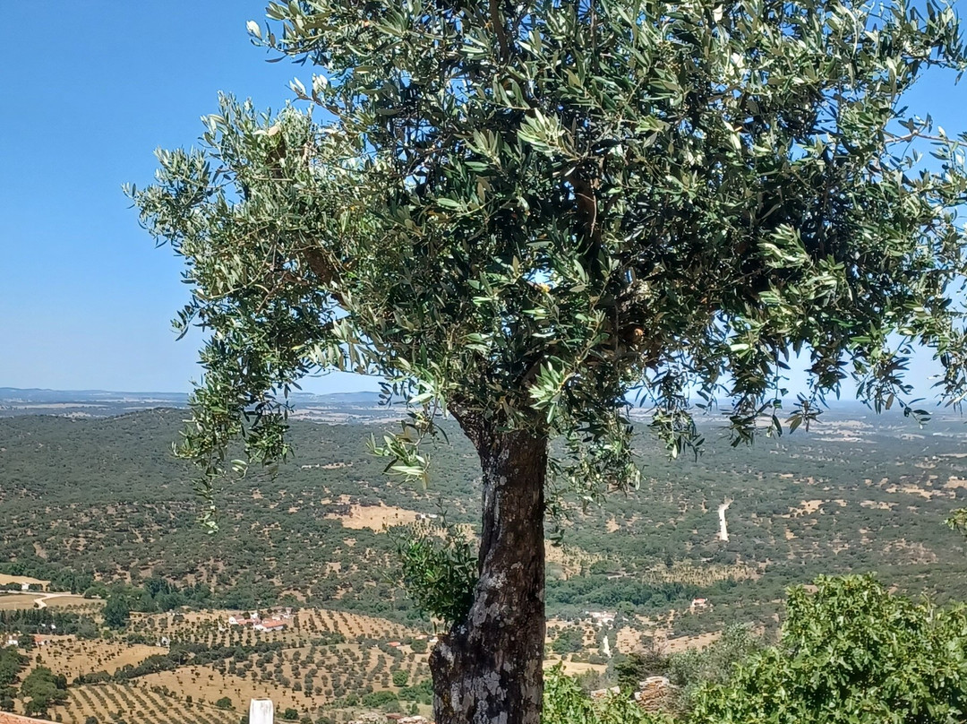 Castelo de Evoramonte-Evoramonte必去景点