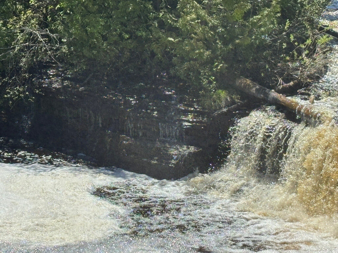 Tahquamenon Falls State Park-Paradise必去景点