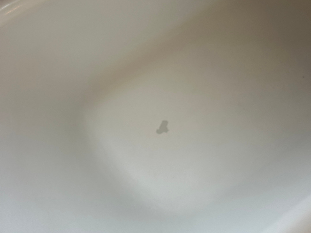 霍尔布鲁克酒店主图
