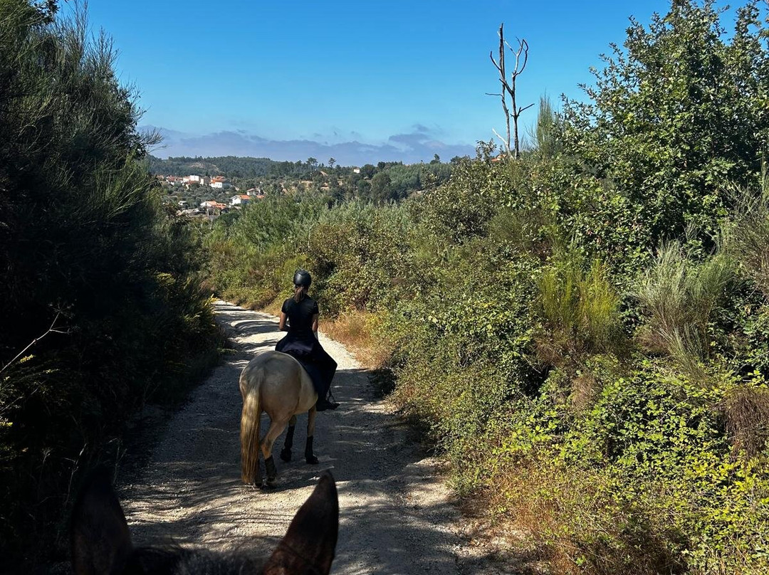 ATV & Horse Tours Central Portugal-Nogueira do Cravo必去景点