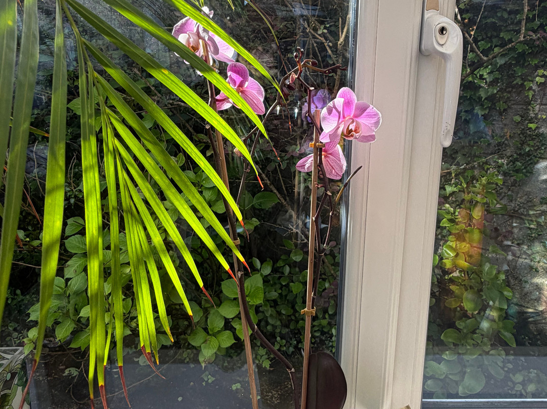 Sea Breeze Lodge B&B Galway主图