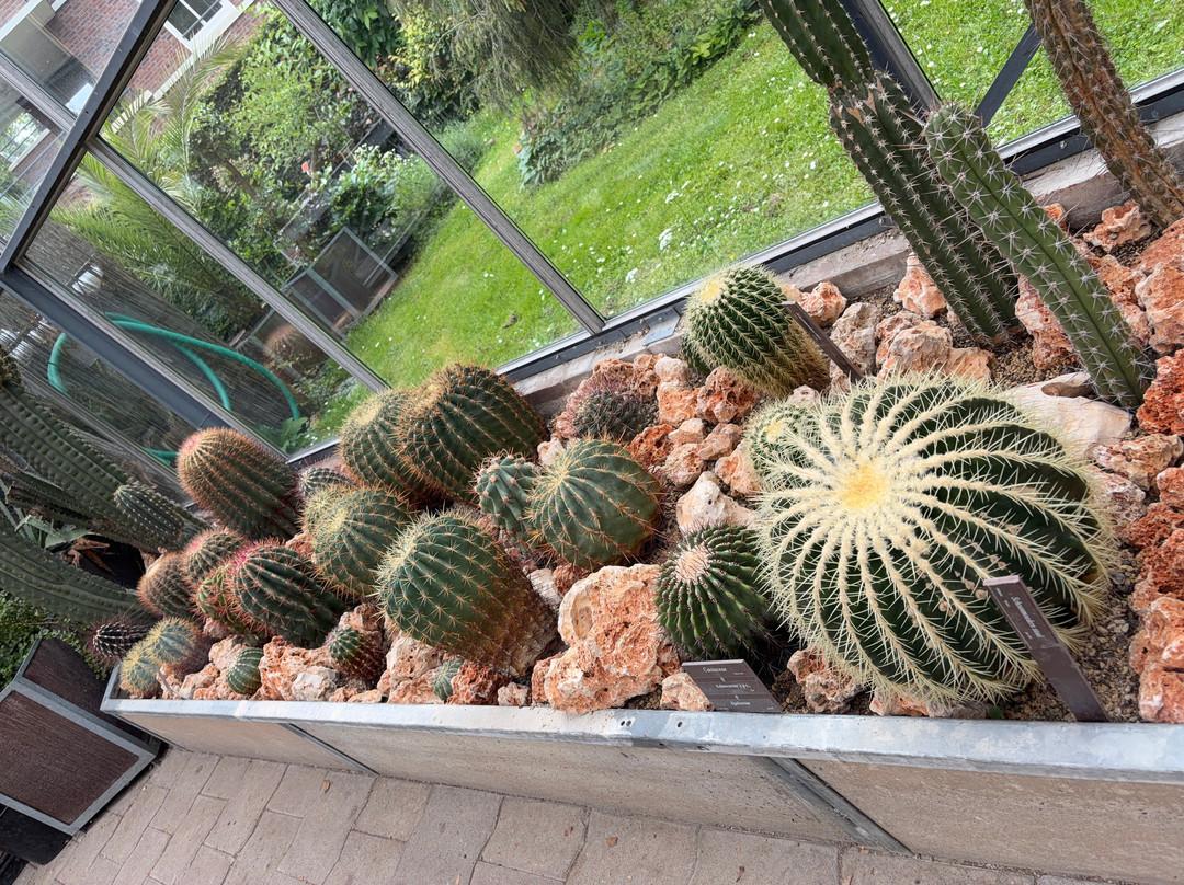 Botanical Garden Arboretum Oudenbosch-Oudenbosch必去景点