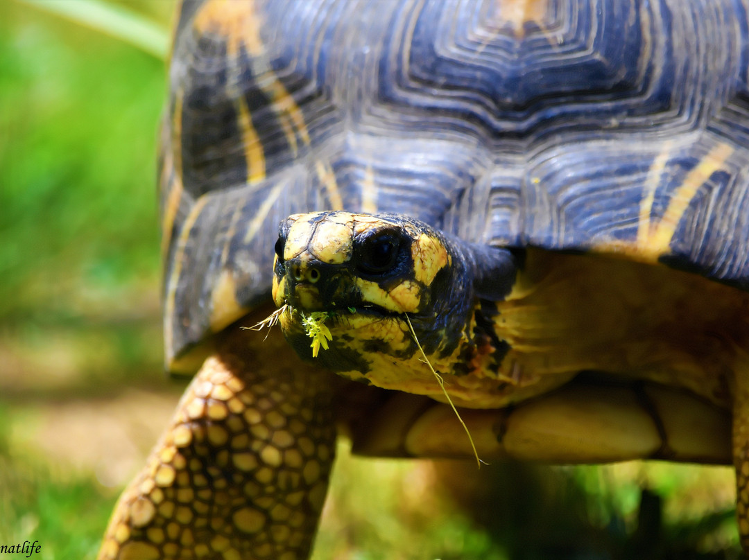 Zoo d'Upie Le Jardin Aux Oiseaux-Upie必去景点