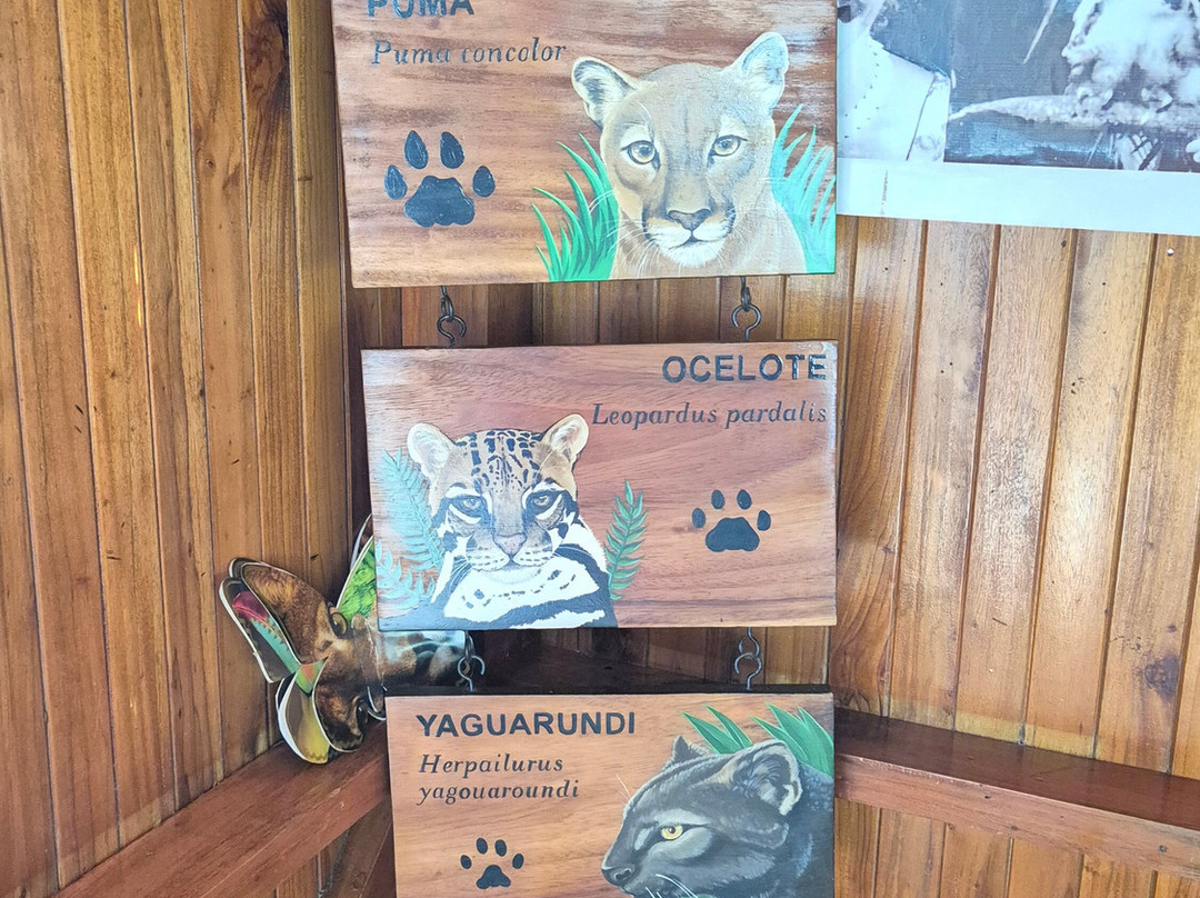 Centro de Rescate Las Pumas-Canas必去景点