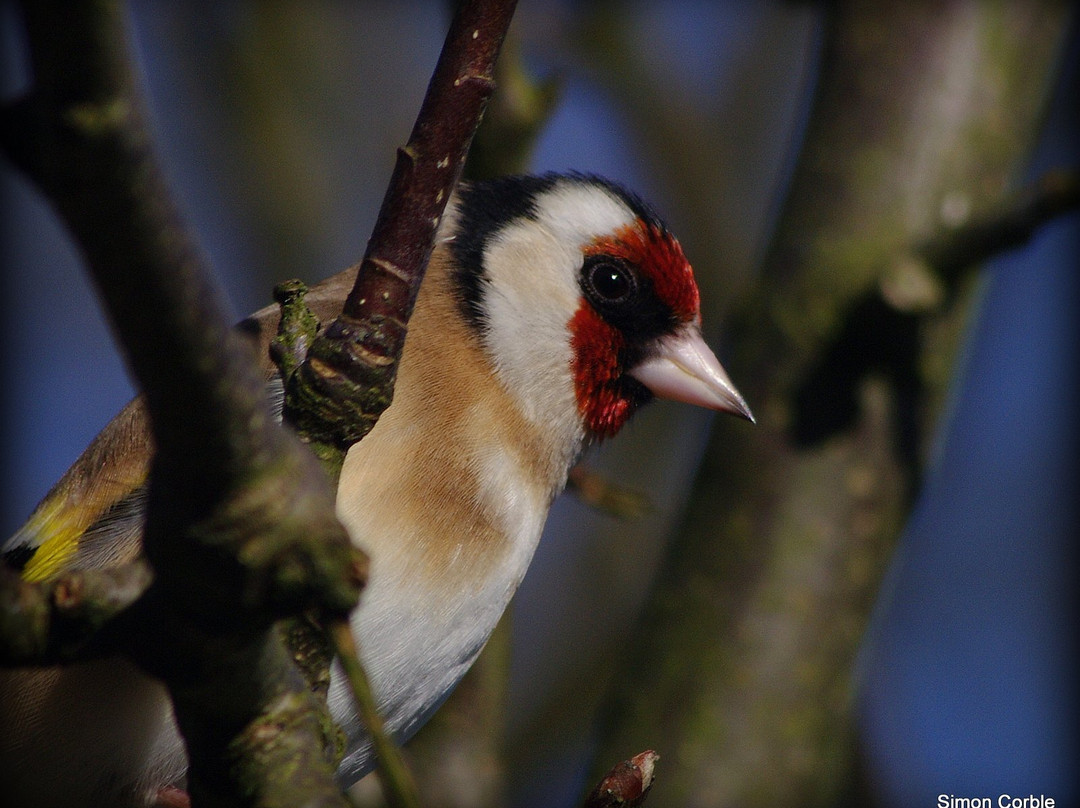 Birdsong Walk Hartington-Hartington必去景点