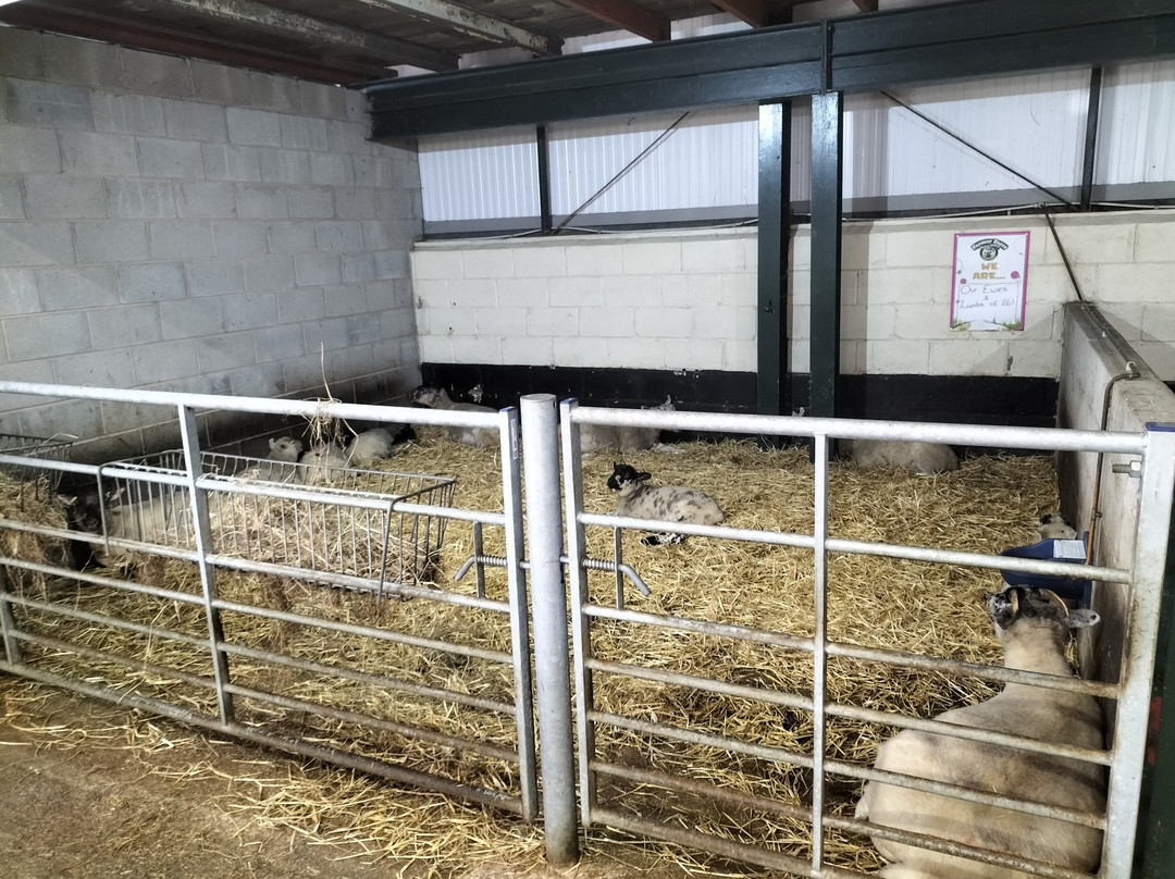 Farmer Parrs Animal World-Fleetwood必去景点