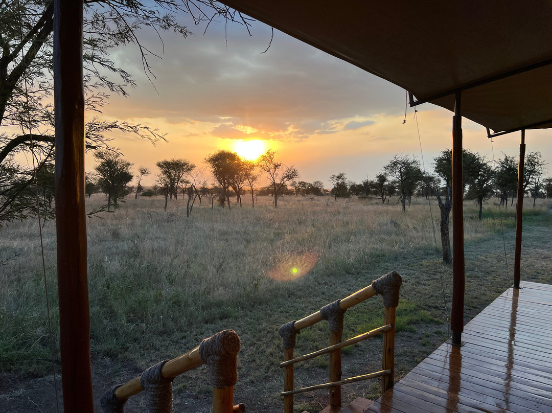 The African Kongoni Serengeti Safari Camp
