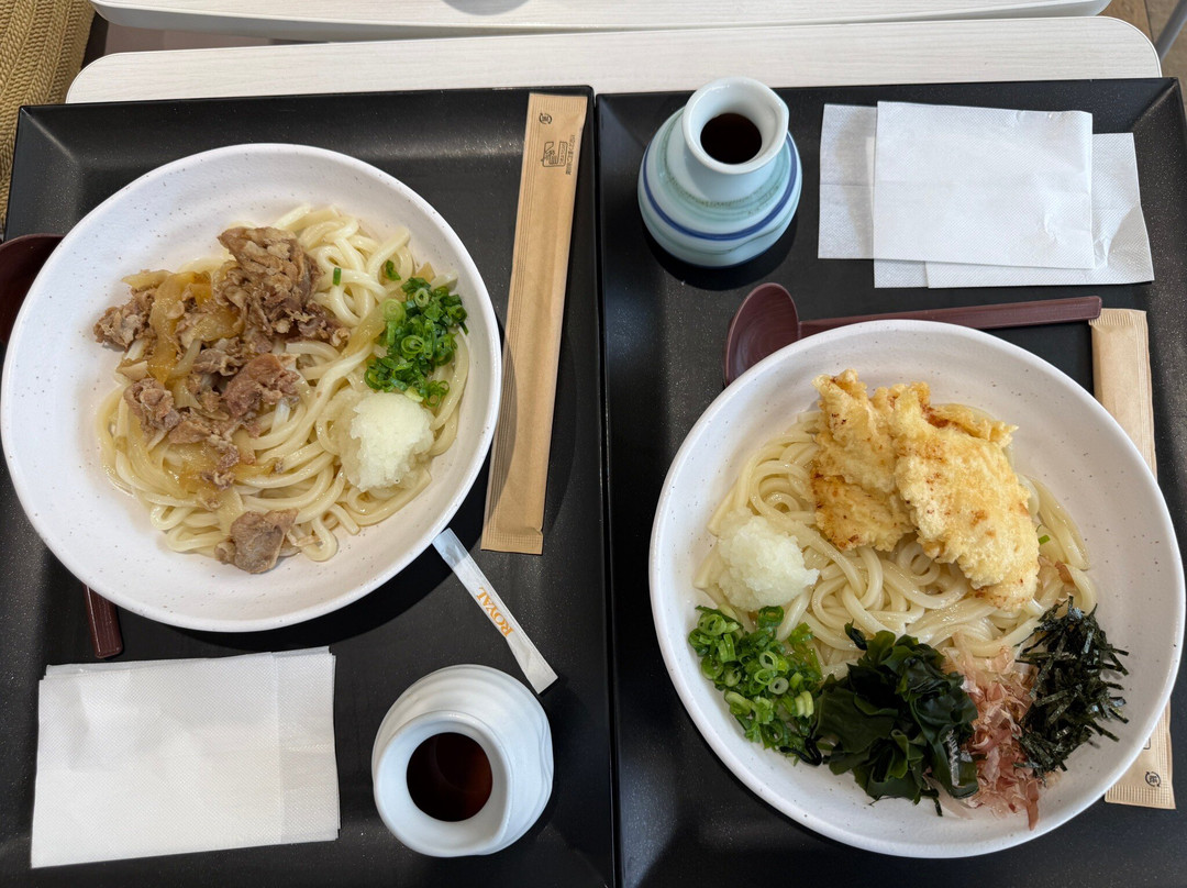 Ebina SA Outbound-海老名市必去景点