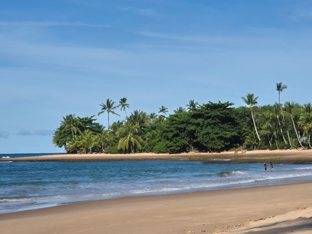 Tres Coqueiros Beach-Barra Grande必去景点