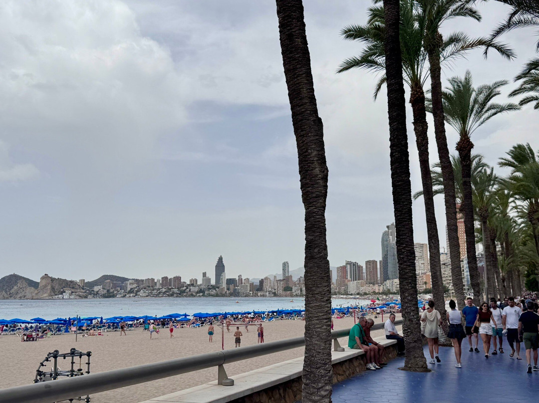 Platja de Ponent-贝尼多姆必去景点