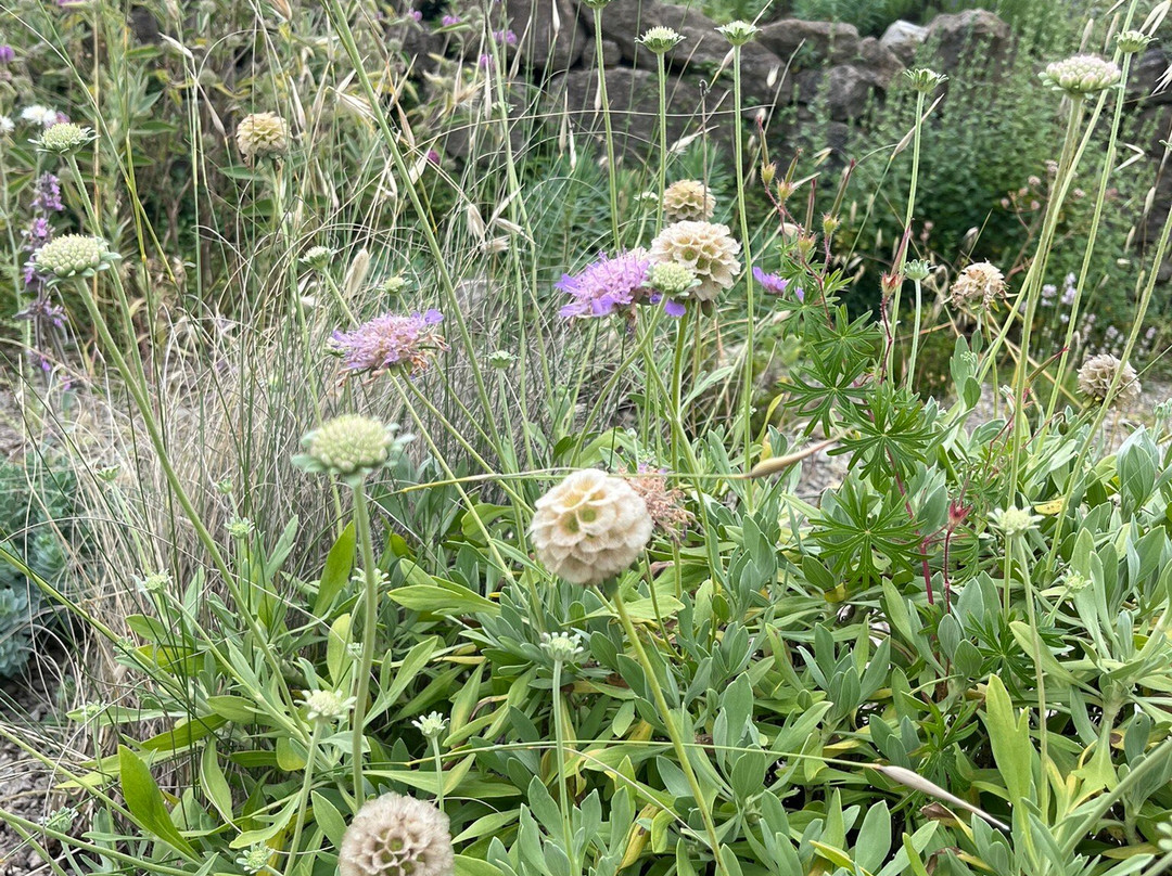 Sissinghurst Castle Garden-Sissinghurst必去景点
