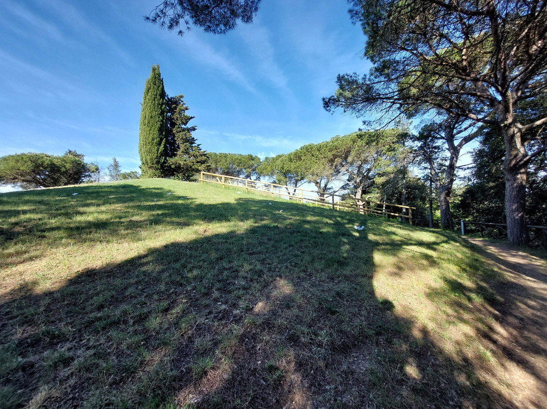 Tombe Etrusche a Montecalvario-卡斯特利纳－因基安蒂必去景点