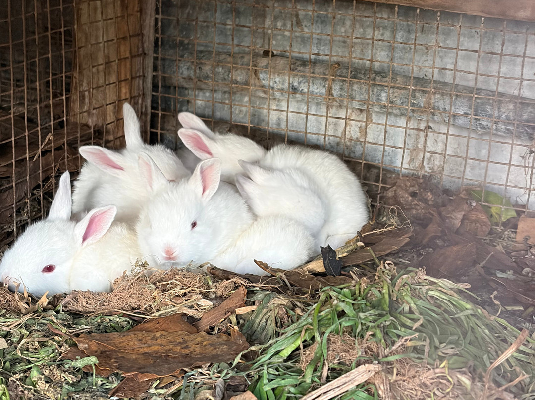 Shakshi Ayurveda Yogasharam-Panauti必去景点