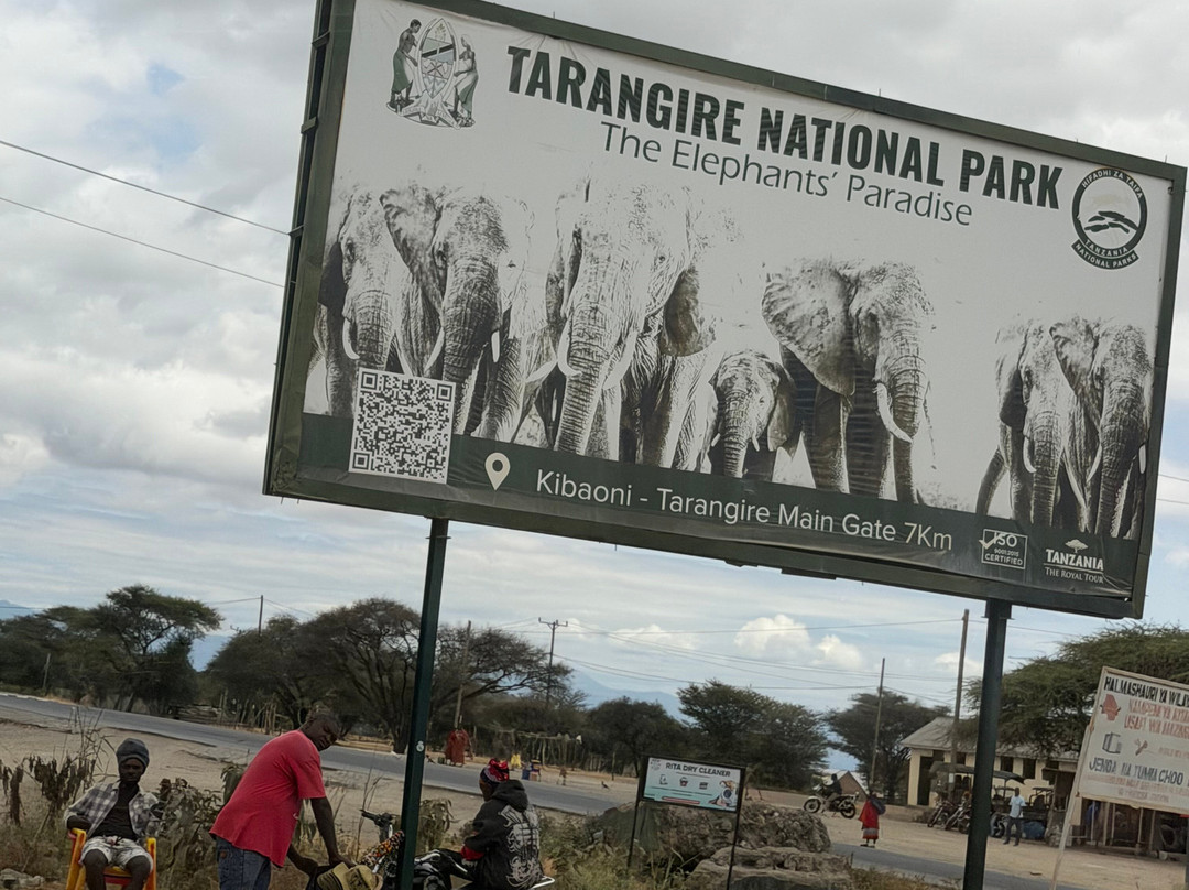 Furahia Tanzania Safari & Trekking Ltd-阿鲁沙必去景点