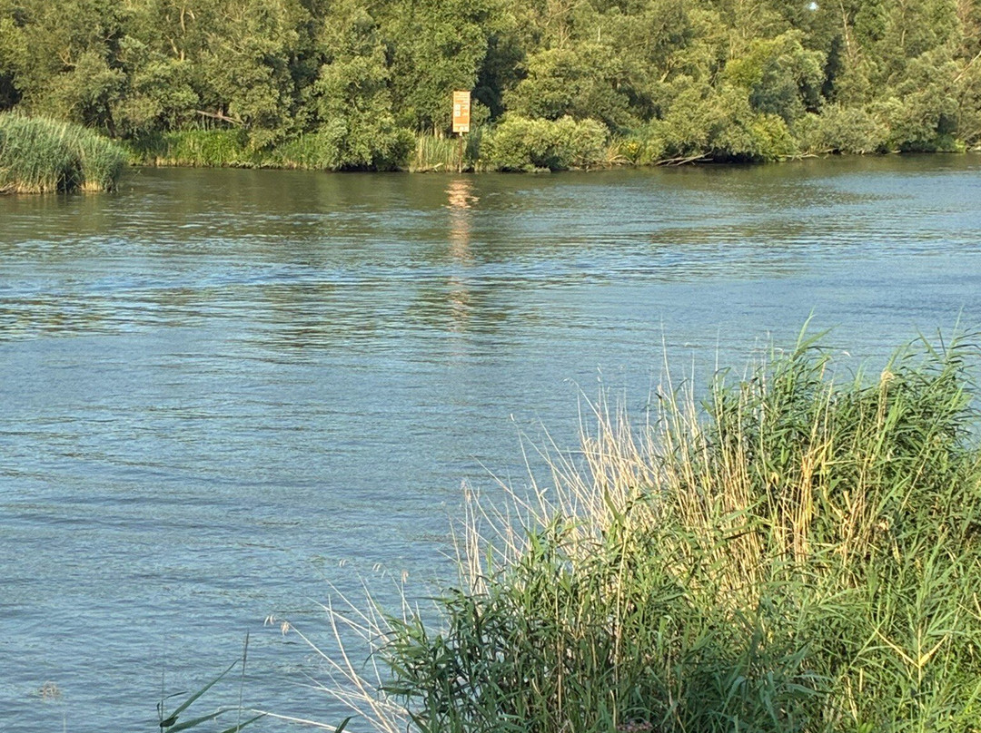 Visitorscenter Biesbosch Dordrecht-多德雷赫特必去景点