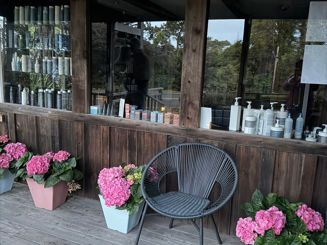 Rendezvous Mendocino主图