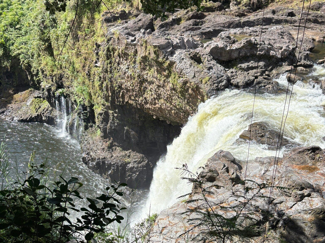 O.k. Farms (the Farm At Rainbow Falls)-希洛必去景点