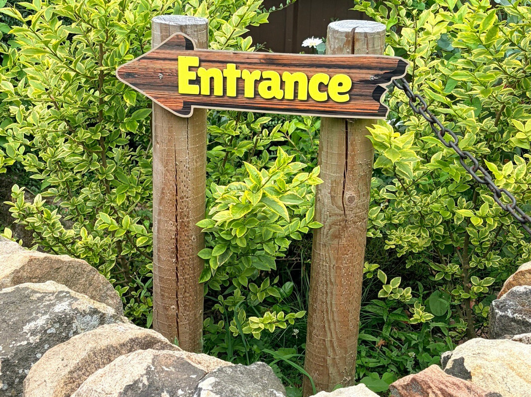 Matlock Farm Park-马特洛克必去景点
