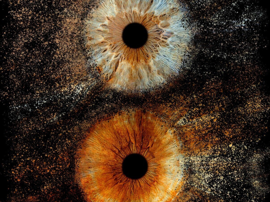 Iris Galerie Maastricht