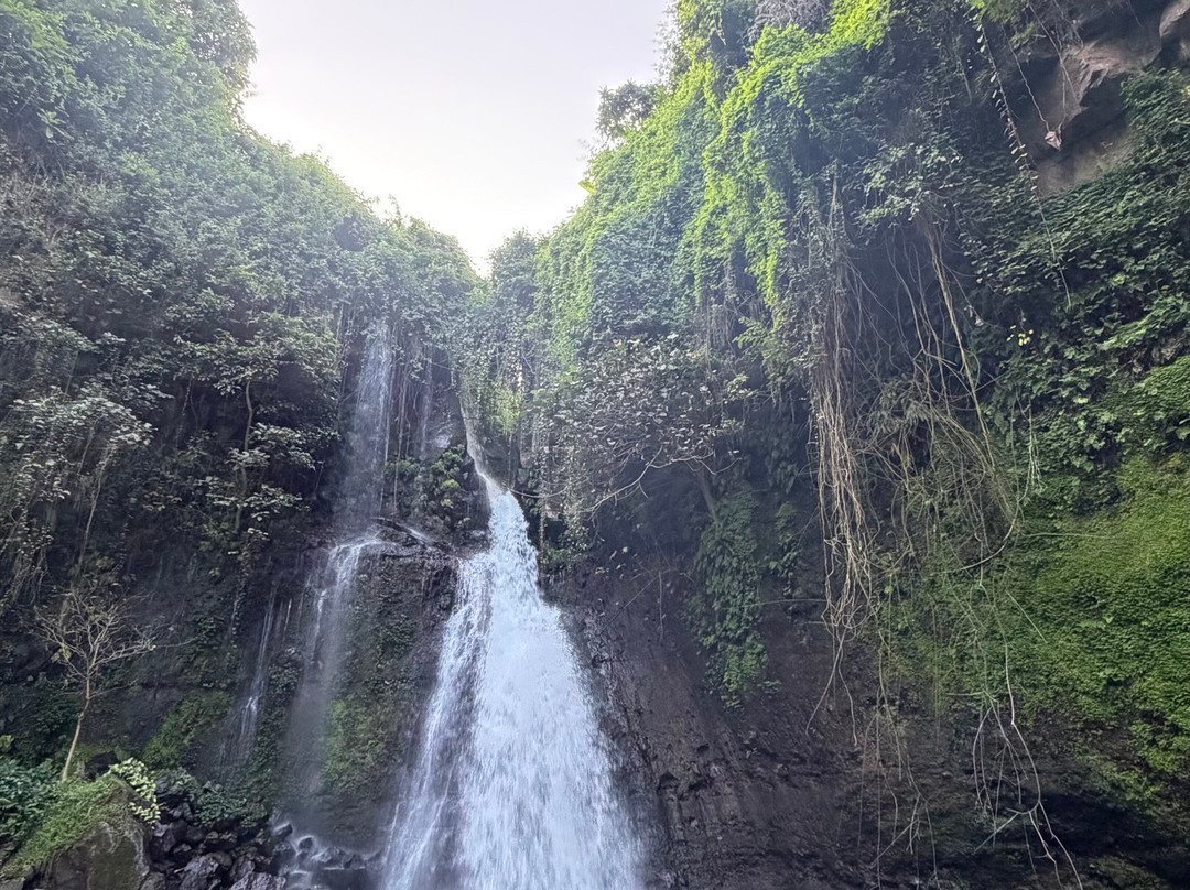 Mangalia Waterfalls-阿鲁沙必去景点