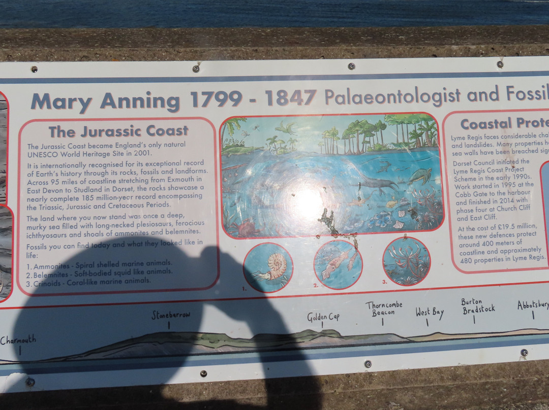 Mary Anning Rocks Statue-莱姆里杰斯必去景点
