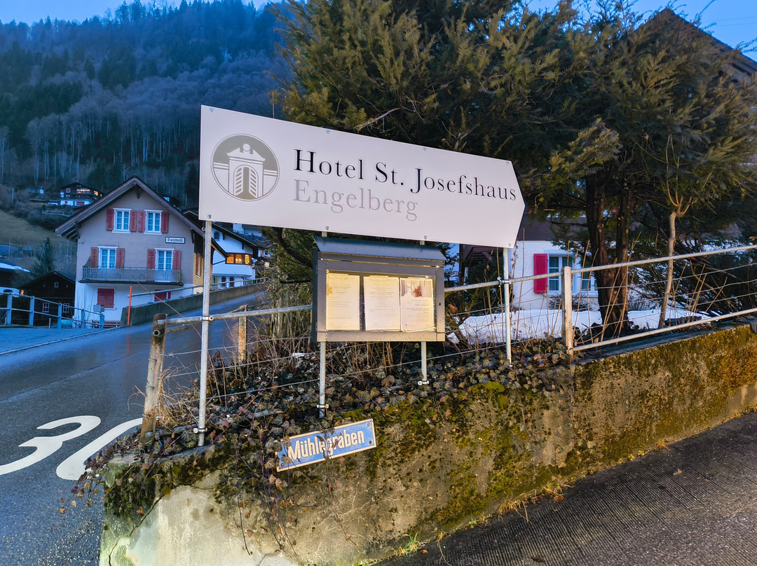 Hotel St. Josefshaus Engelberg主图